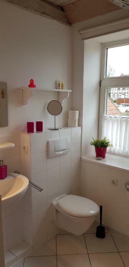 Wipperaublick In Der Oldenstaedter Wassermuehle Uelzen Kültér fotó